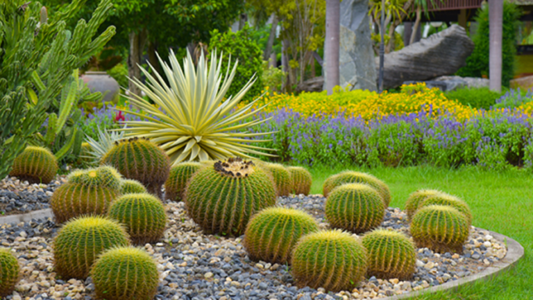 Doğayla Uyumlu Bir Estetik: Kurakçıl Peyzaj