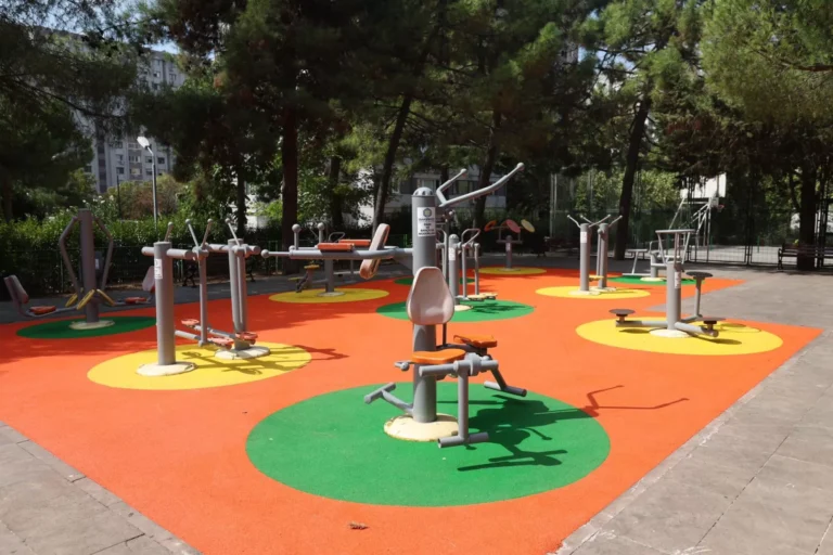 Şehirde Yaban Hayatı Olur mu?